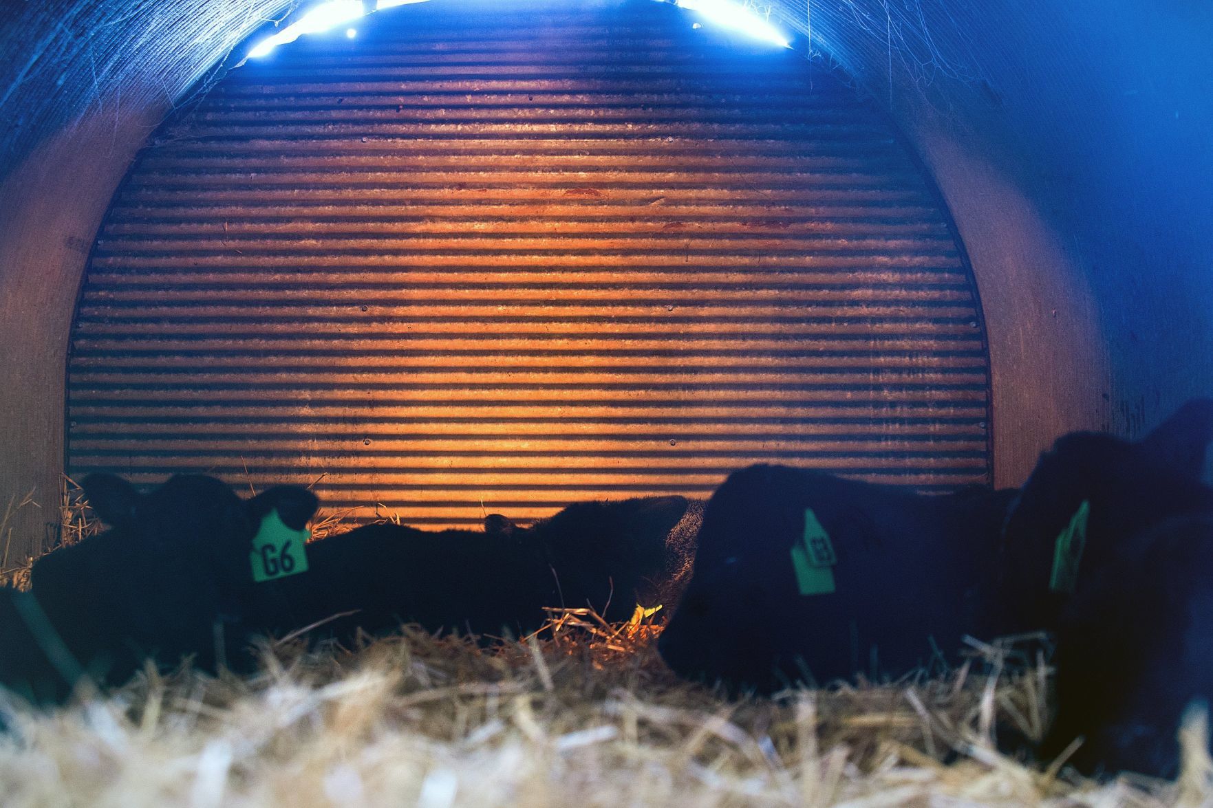 013119-blm-loc-4cold-farm
